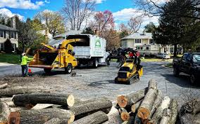 Best Tree Maintenance Programs  in Urbana, MD